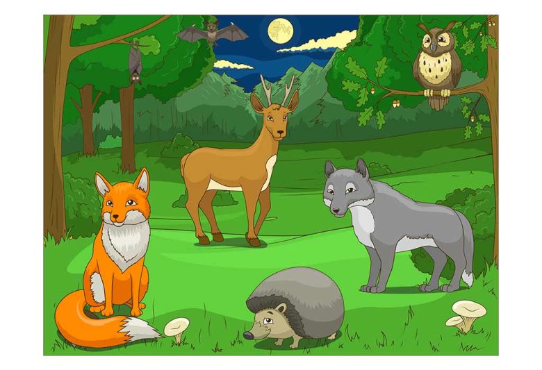 Ensinando seus filhos sobre animais noturnos - Cetro Concursos