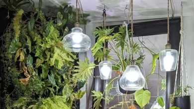 lâmpadas de cultivo